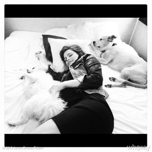 Jenna Dewan Tatum, Whosay Jenna Dewan Tatum, Whosay